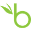 BambooHR