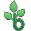 Beanstalk